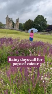 Getting soaked walking to the post office on the corner because you forgot your umbrella. It’s a September thing. Or is it just me?
On grey, showery days such as these, a pop of colour works wonders. Check out our colourful, lightweight scarves to add some joy to your outfit and keep off that approaching Autumnal chill.